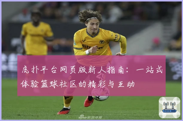 虎扑平台网页版新人指南：一站式体验篮球社区的精彩与互动