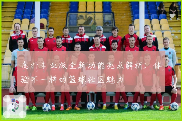 虎扑专业版全新功能亮点解析：体验不一样的篮球社区魅力